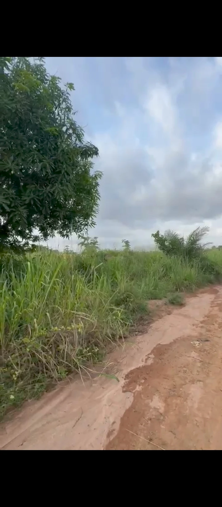 land for sale in Umegbe upper airport road, Edo - Image 1
