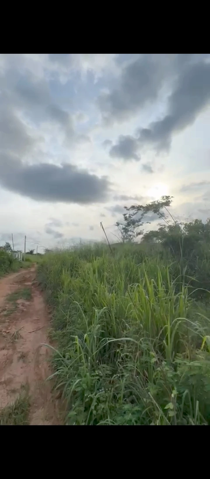 land for sale in Umegbe upper airport road, Edo - Image 2