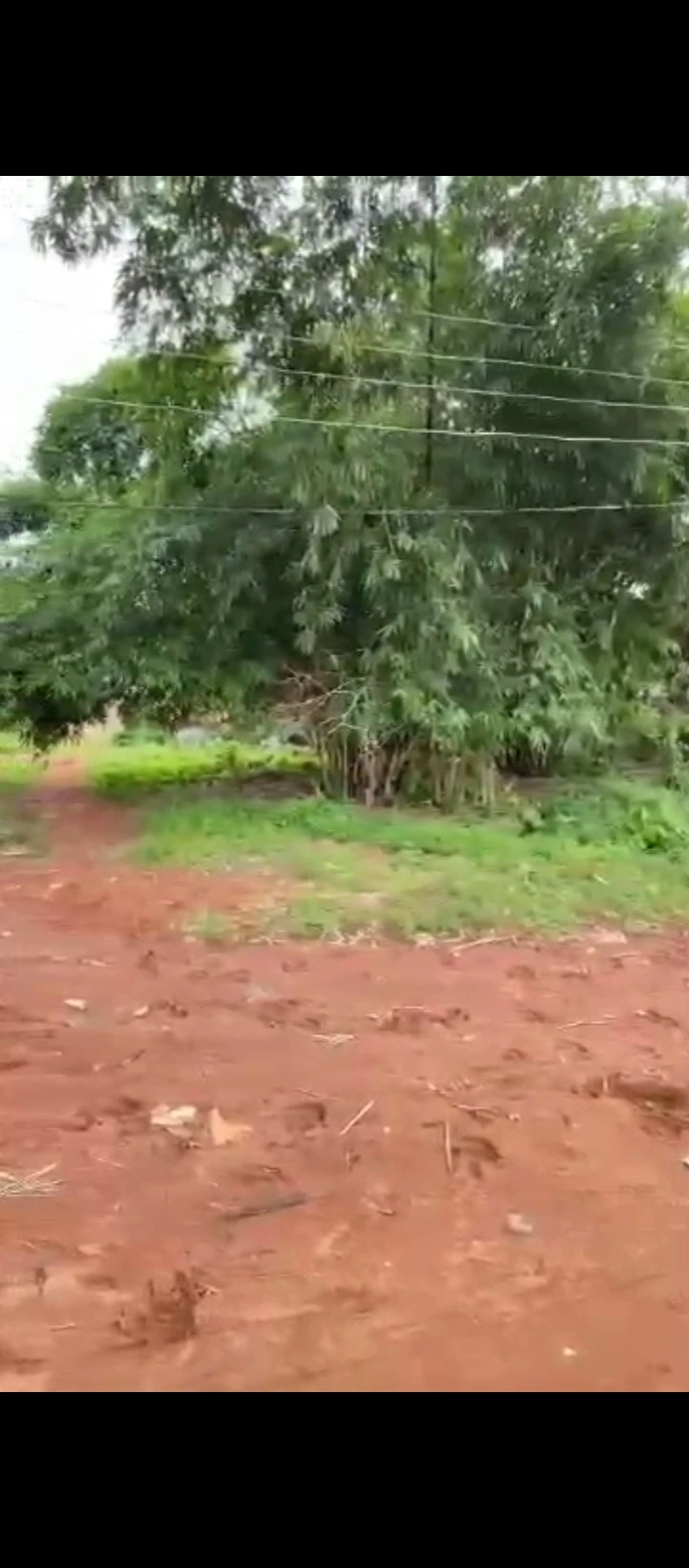 Land for Sale in Amagba, Edo - Image 1
