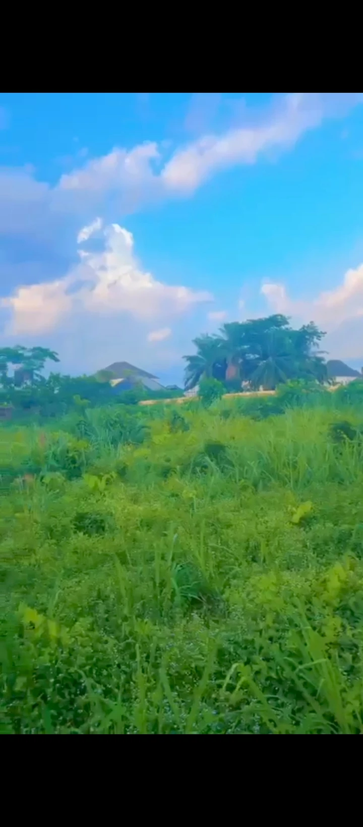 Land for Sale in Ugbor off country home, Edo - Image 2