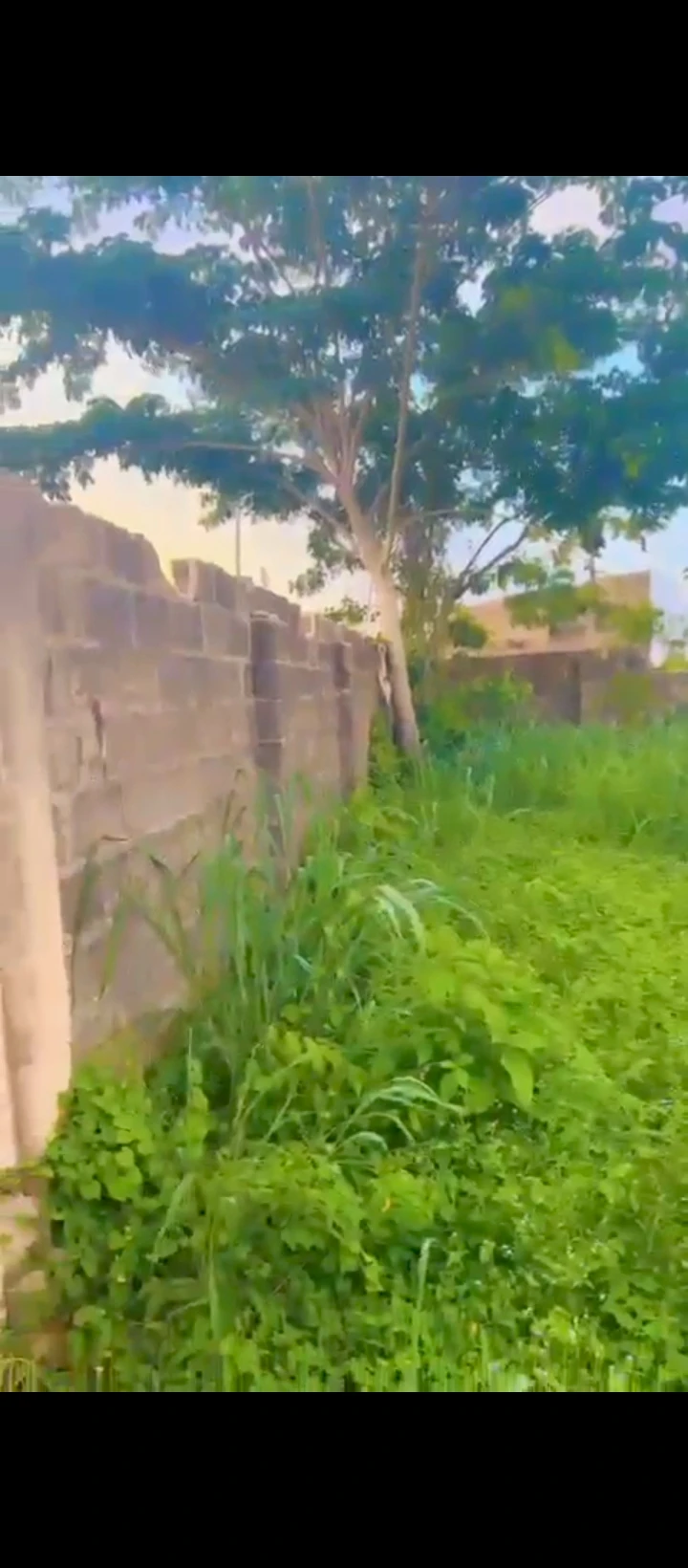 Land for Sale in Ugbor off country home, Edo - Image 1