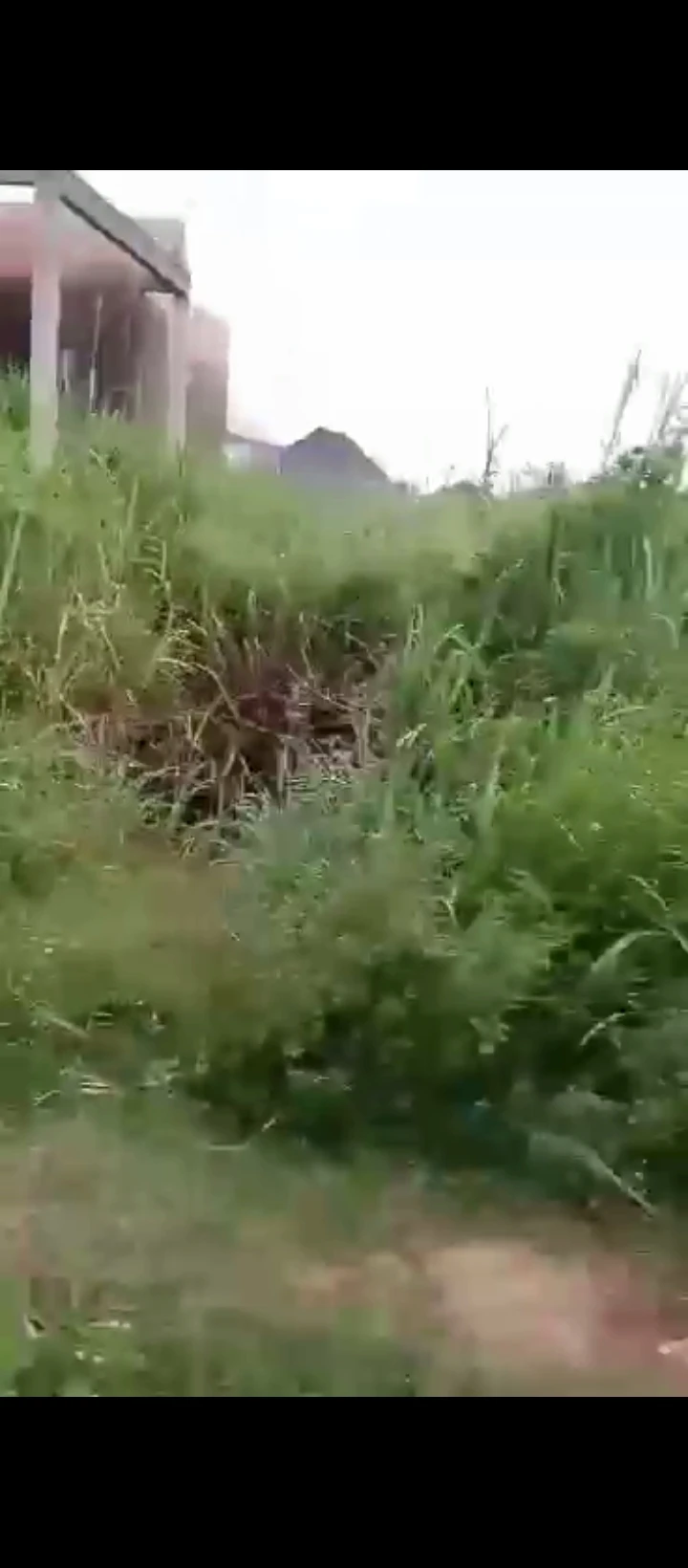 Land for Sale in Nevbosa ogheghe sapele road, Edo - Image 2