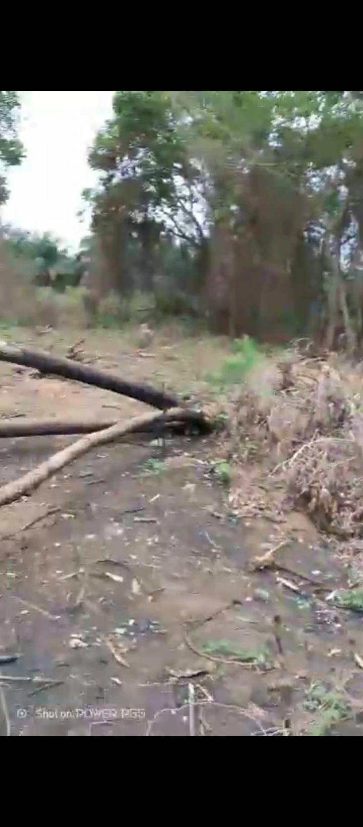 Land for Sale in Evboieoba, Edo - Image 2