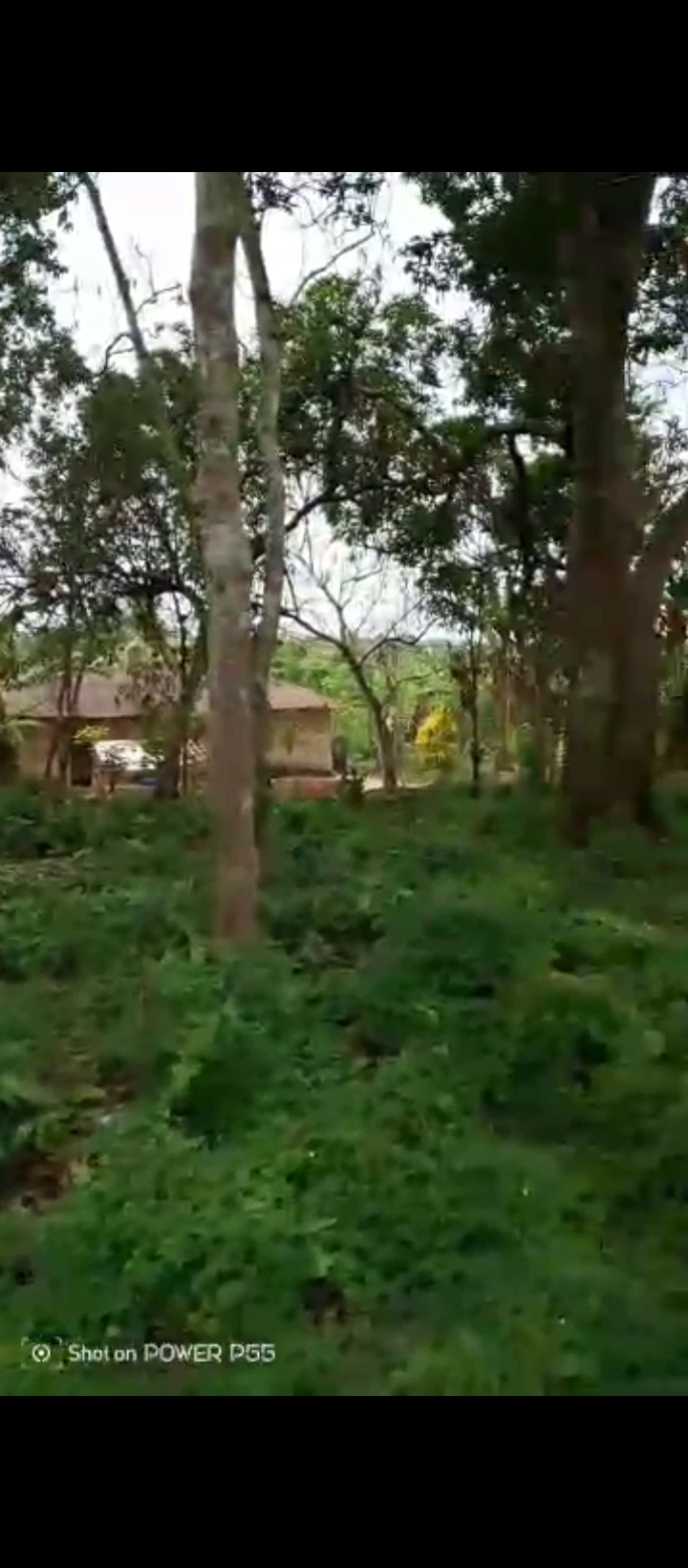 Land for Sale in Evboieoba, Edo - Image 1