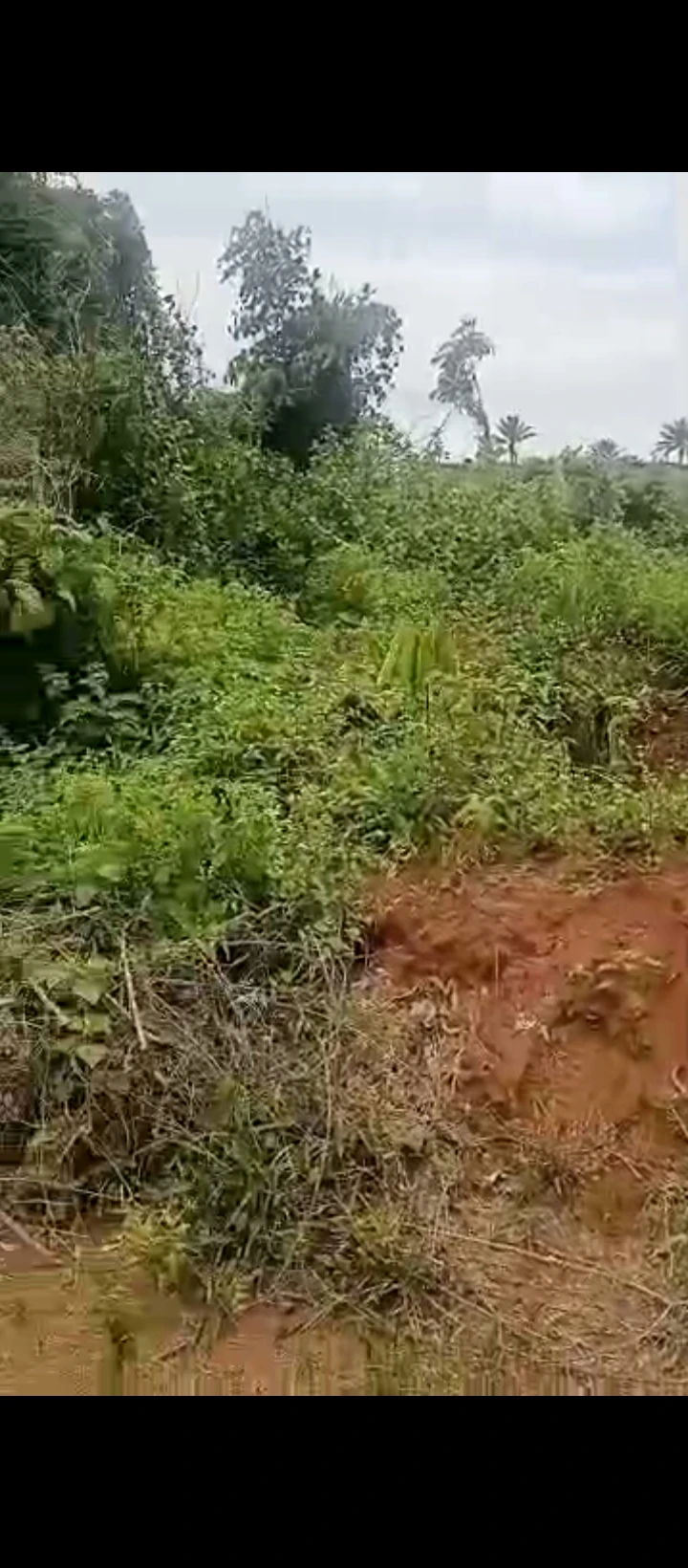 Land for Sale in Ogheghe sapele road, Edo - Image 3