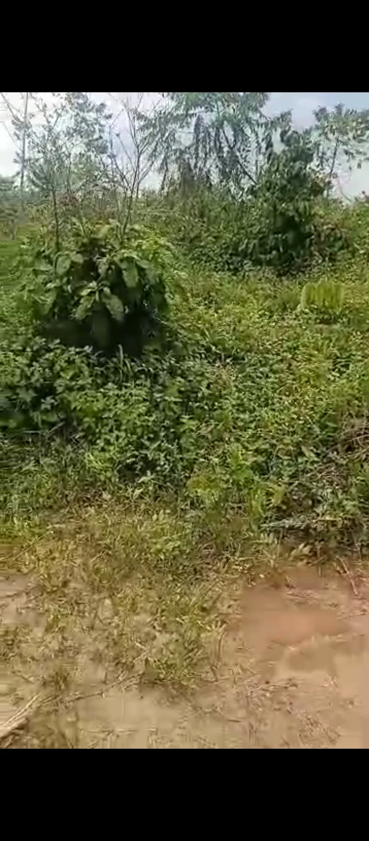 Land for Sale in Ogheghe sapele road, Edo - Image 2