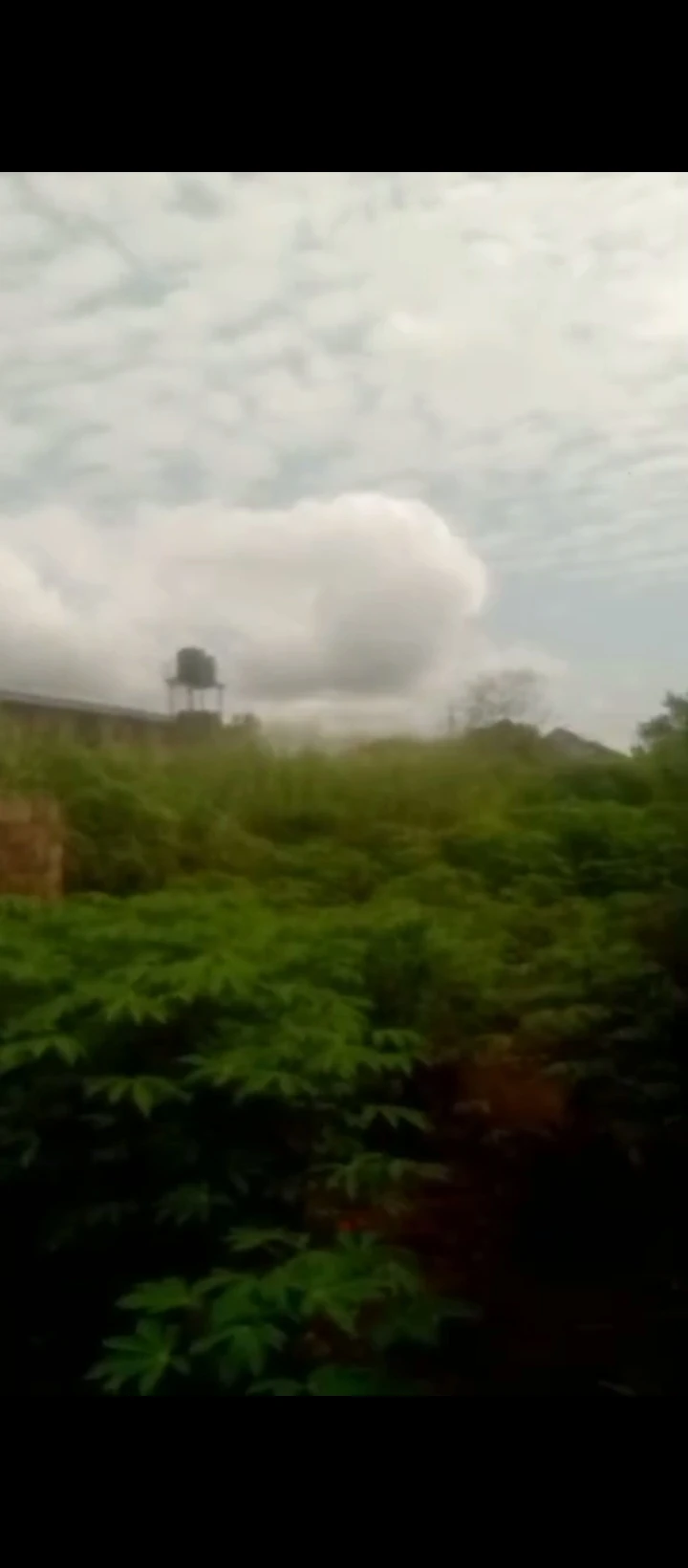 Land for Sale in Ebo airport road, Edo - Image 2