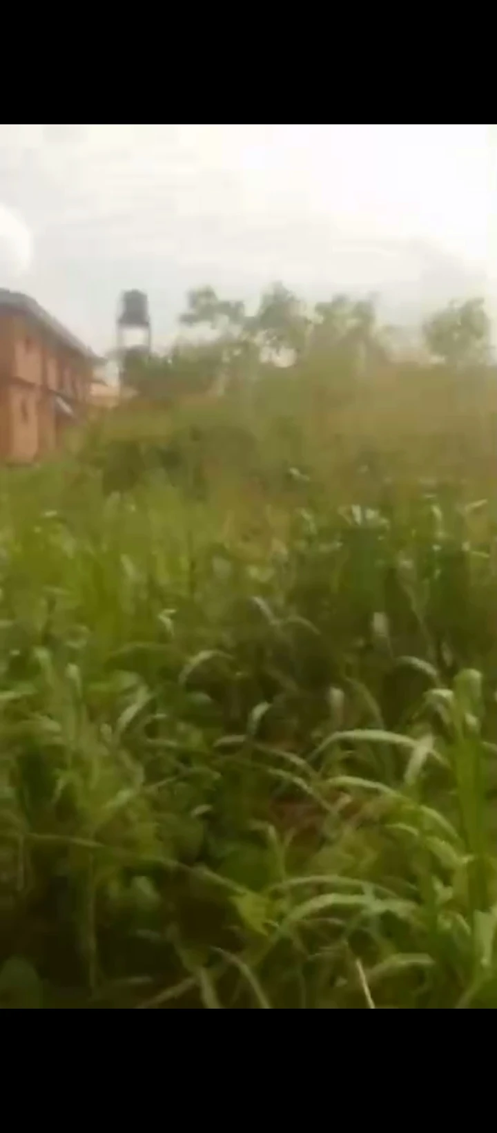 Land for Sale in Ebo airport road, Edo - Image 1