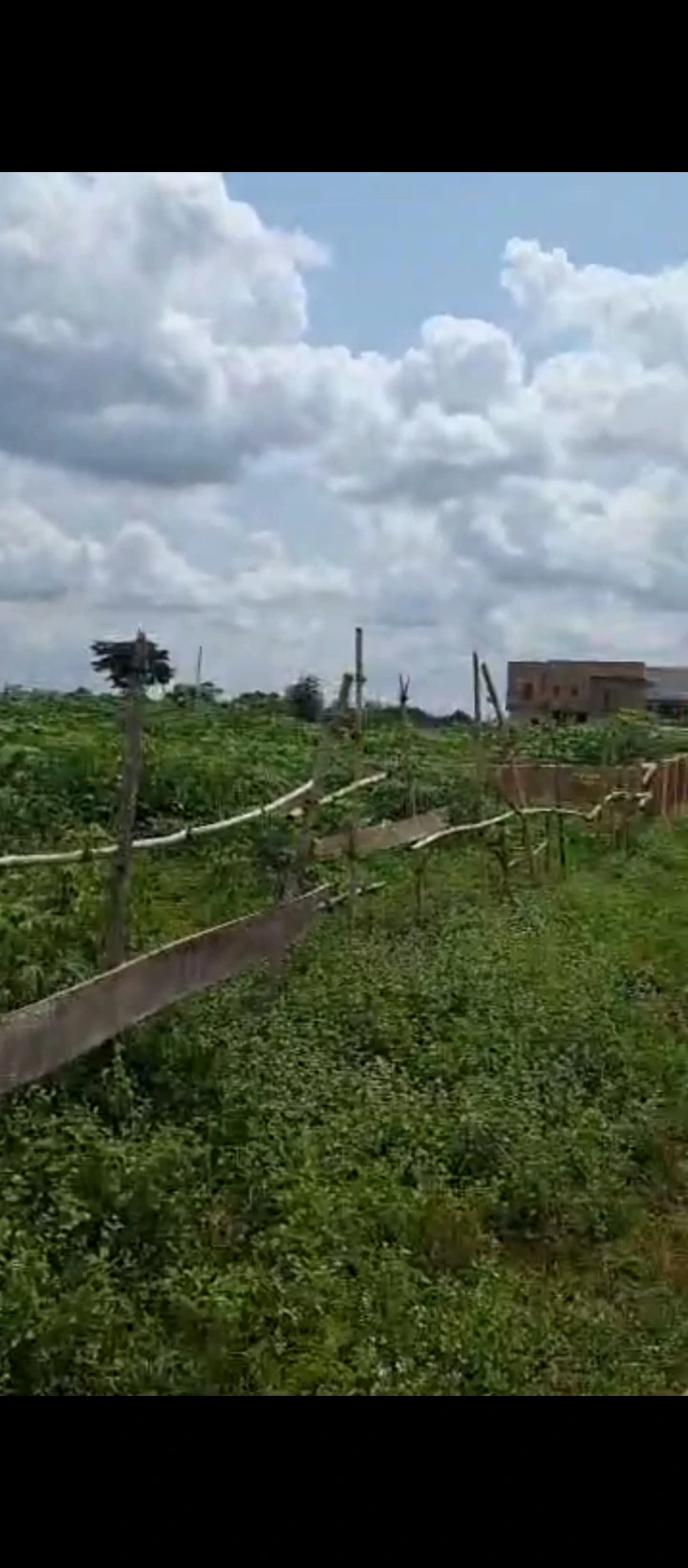 Land for Sale in Amagba, Edo - Image 2