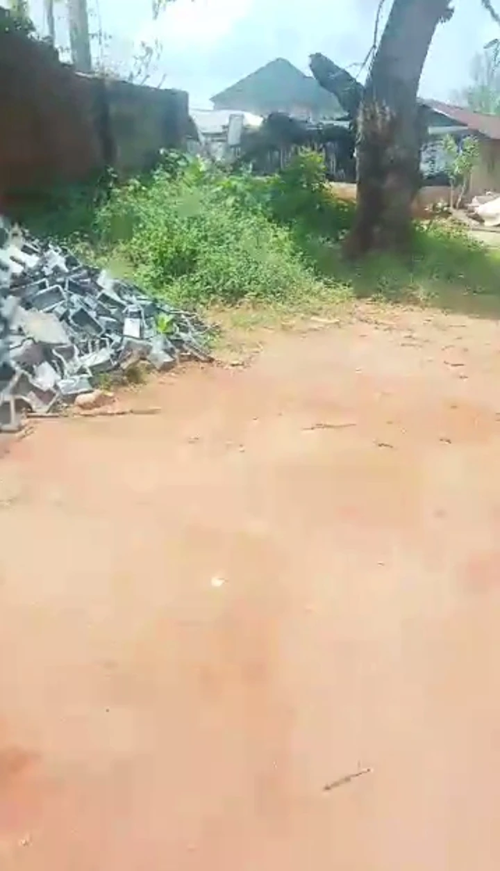 Bungalow for Lease in Beside chicken republic, opposite Adesuwa, Edo - Image 2