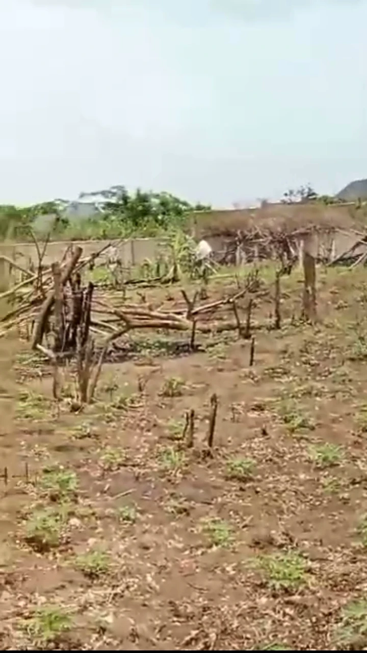 Land for Sale in BIU, Edo - Image 3