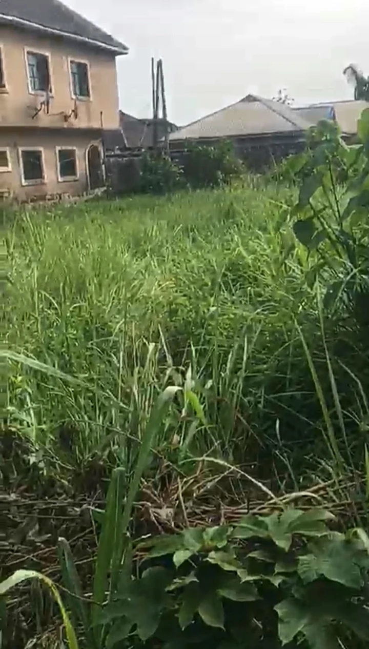 Land for Sale in Jeddo, Delta - Image 1