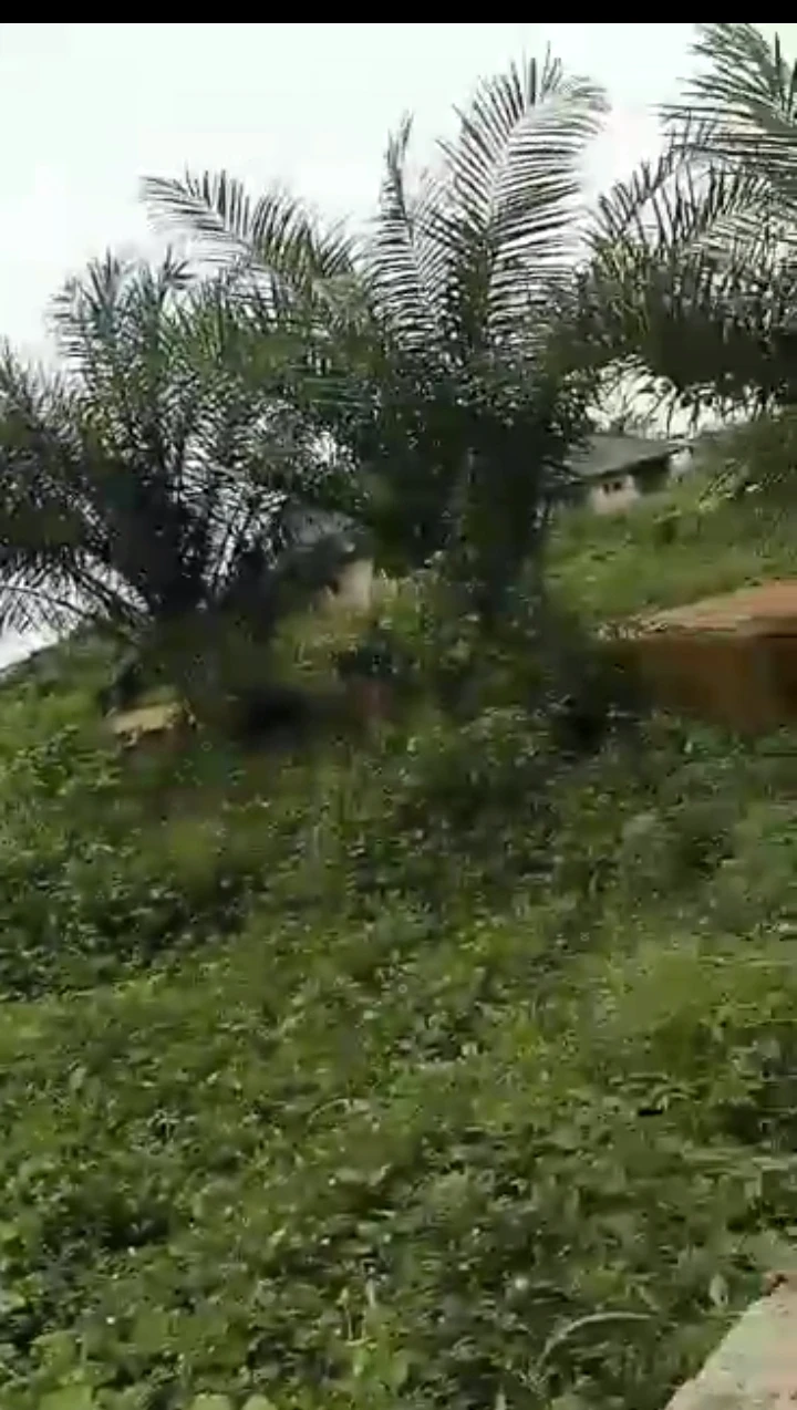 Land for Sale in Dangote road Amagba GRA, Edo - Image 2