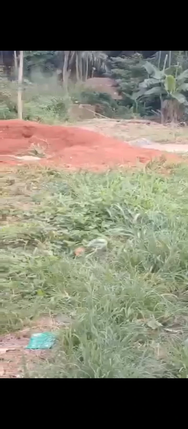 Land for Sale in ADOLOR, Edo - Image 1