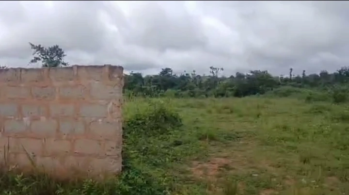 Land for Sale in Amagba, Edo - Image 4