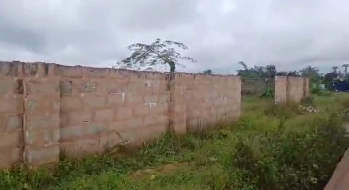 Land for Sale in Amagba, Edo - Image 1