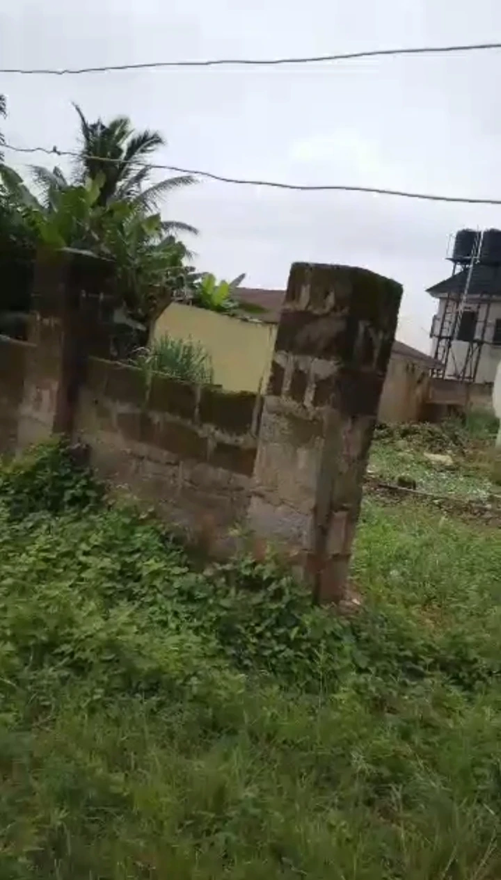 Land for Sale in Isihor, Edo - Image 2
