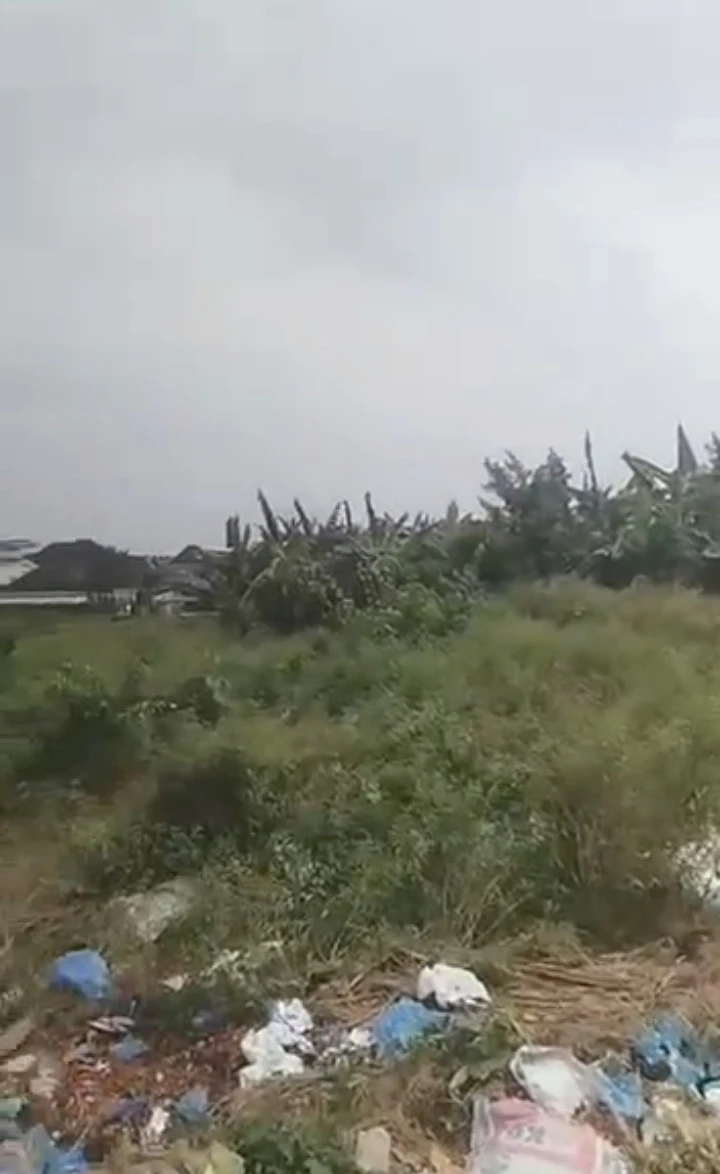 Land for Sale in Falanu country home, Edo - Image 2