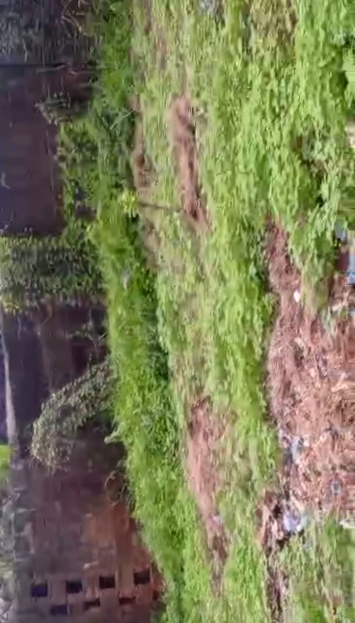 Land for Sale in Benin city, Edo - Image 2