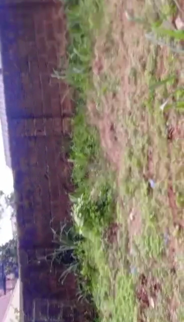 Land for Sale in Benin city, Edo - Image 1
