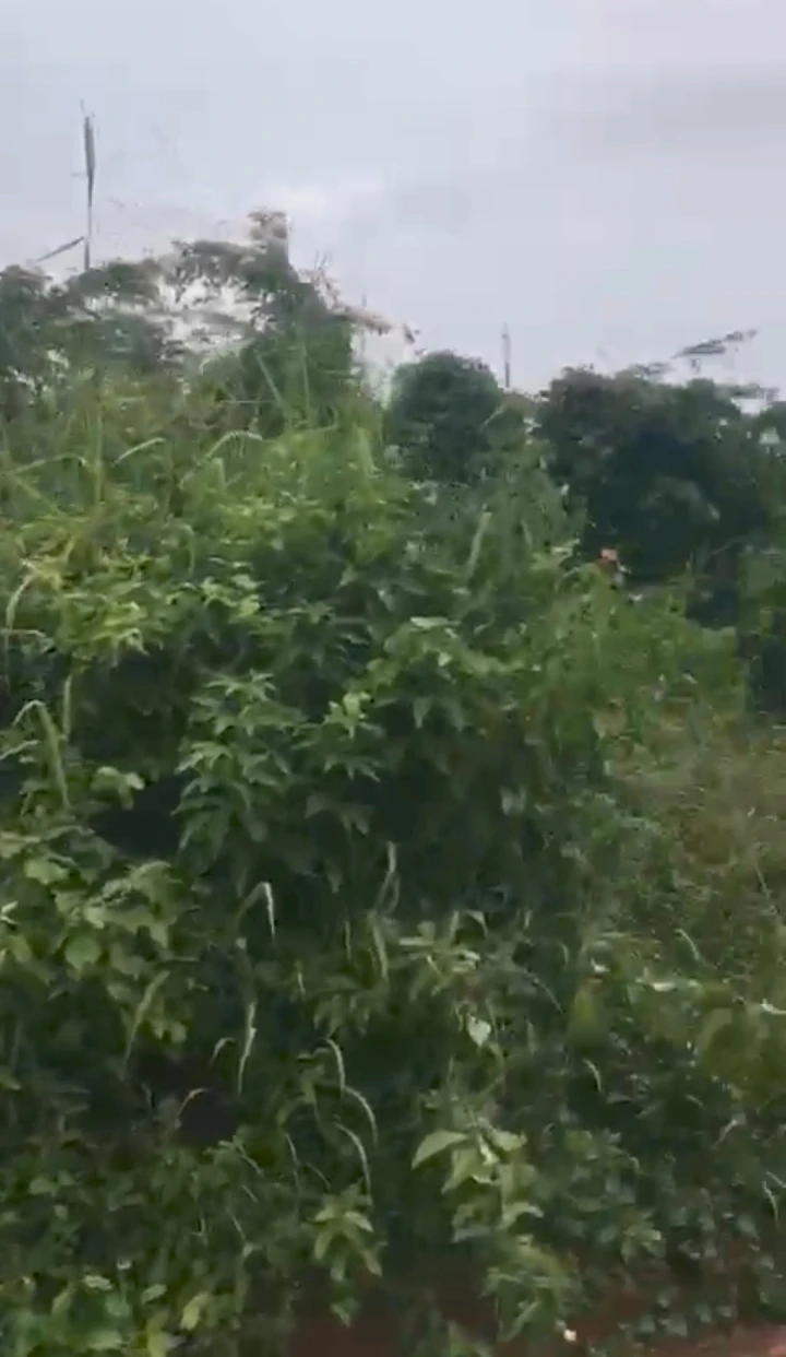 Land for Sale in Egbirhe egor, Edo - Image 1