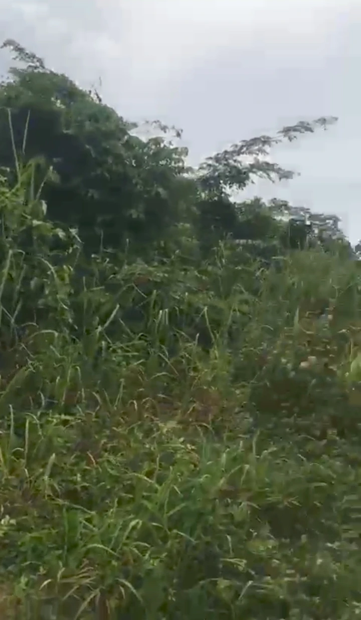 Land for Sale in Egbirhe egor, Edo - Image 2