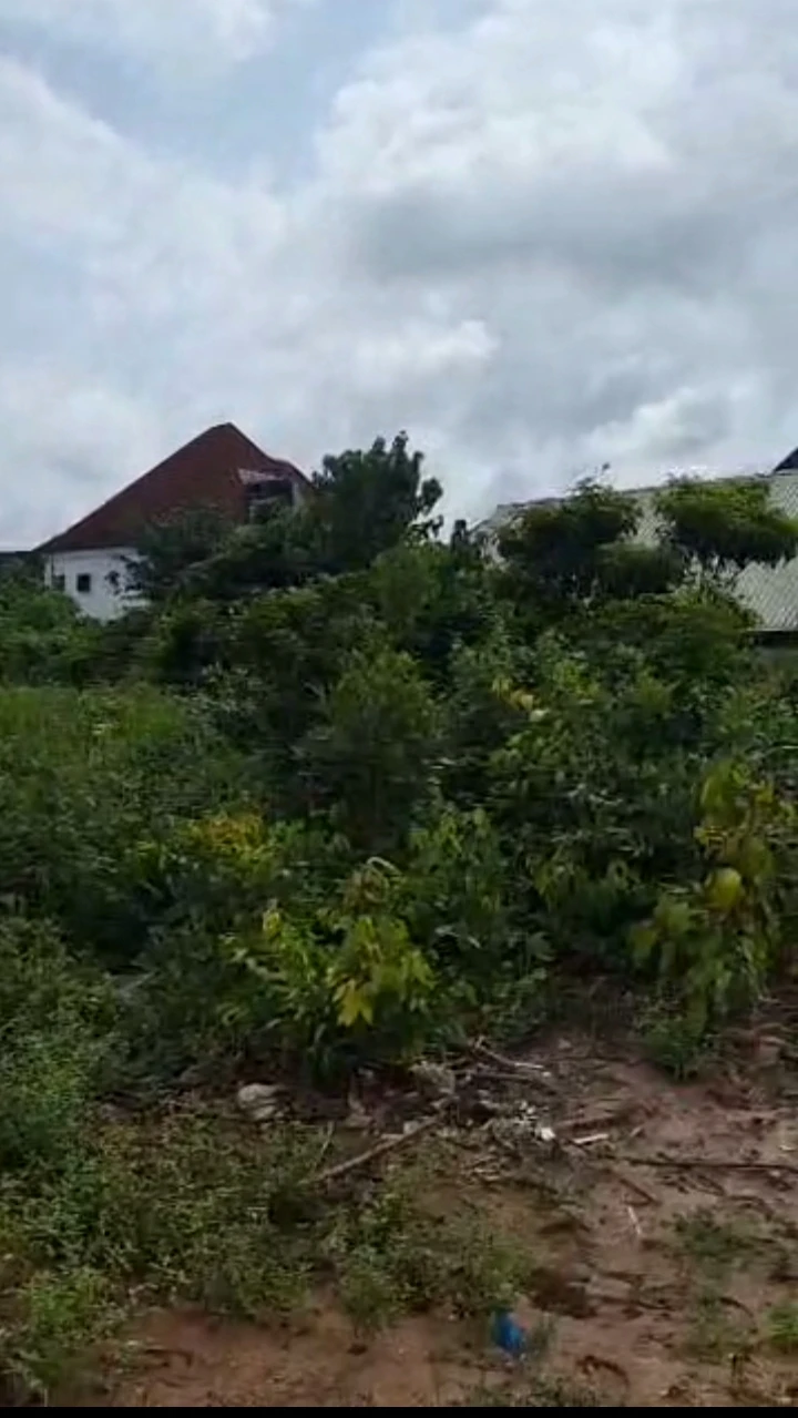 Land for Sale in Amagba, Edo - Image 1