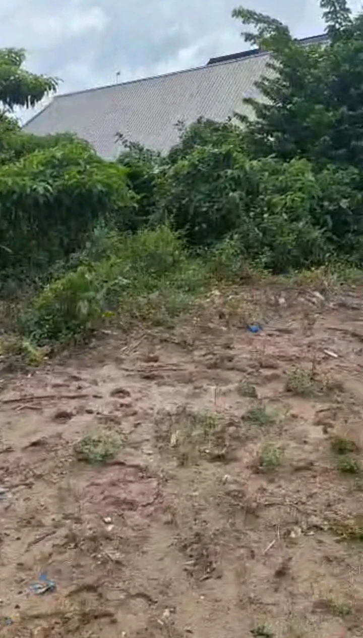 Land for Sale in Amagba, Edo - Image 2