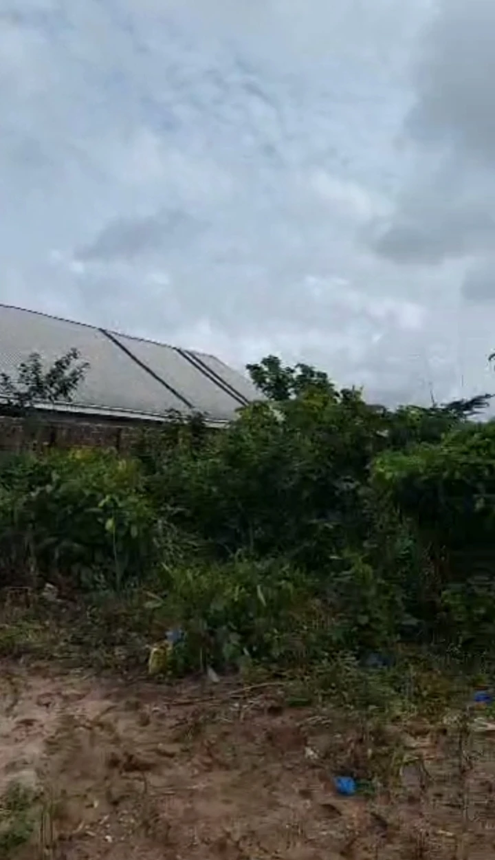 Land for Sale in Amagba, Edo - Image 3
