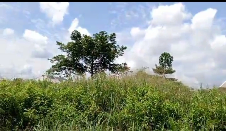 Land for Sale in Uwo, Edo - Image 2