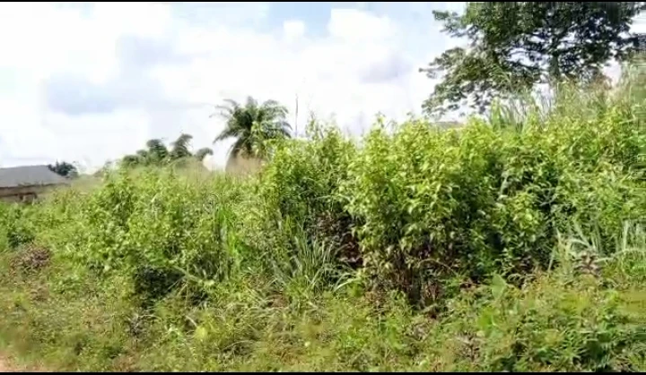 Land for Sale in Uwo, Edo - Image 1