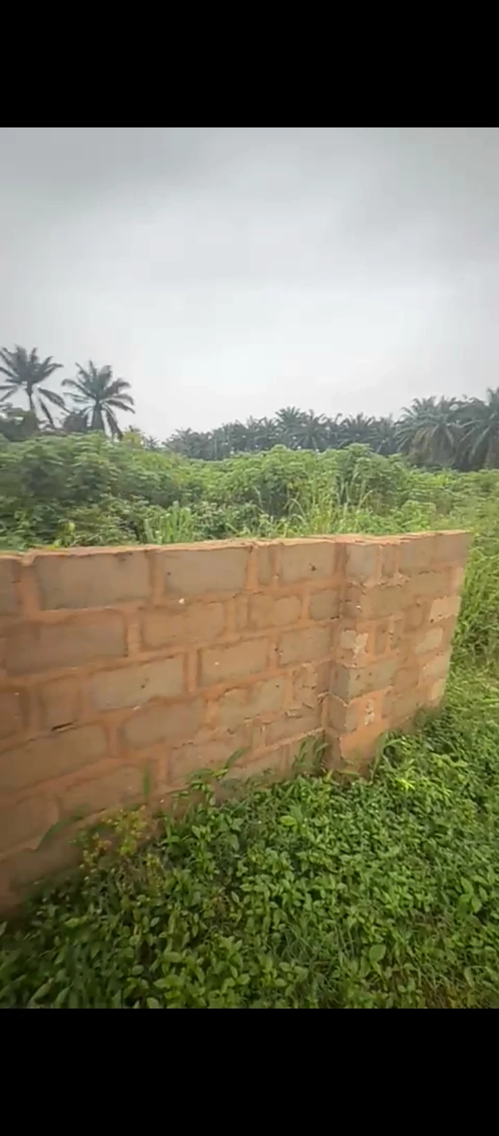 Land for Sale in Ugbor, Edo - Image 2