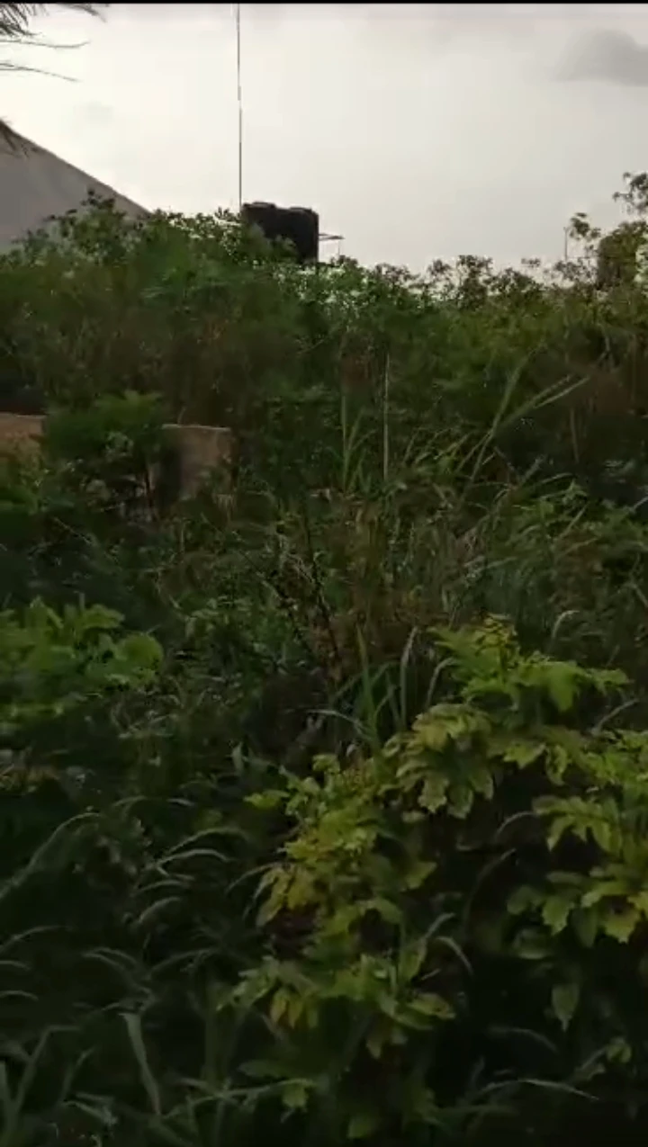Land for Sale in Benin city, Edo - Image 1