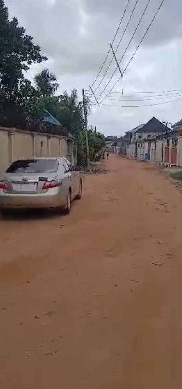 Land for Sale in Igbinedion street, off Country home road., Edo - Image 3