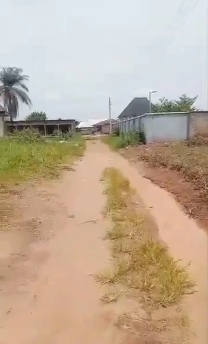 Land for Sale in ewagbogun, Edo - Image 2