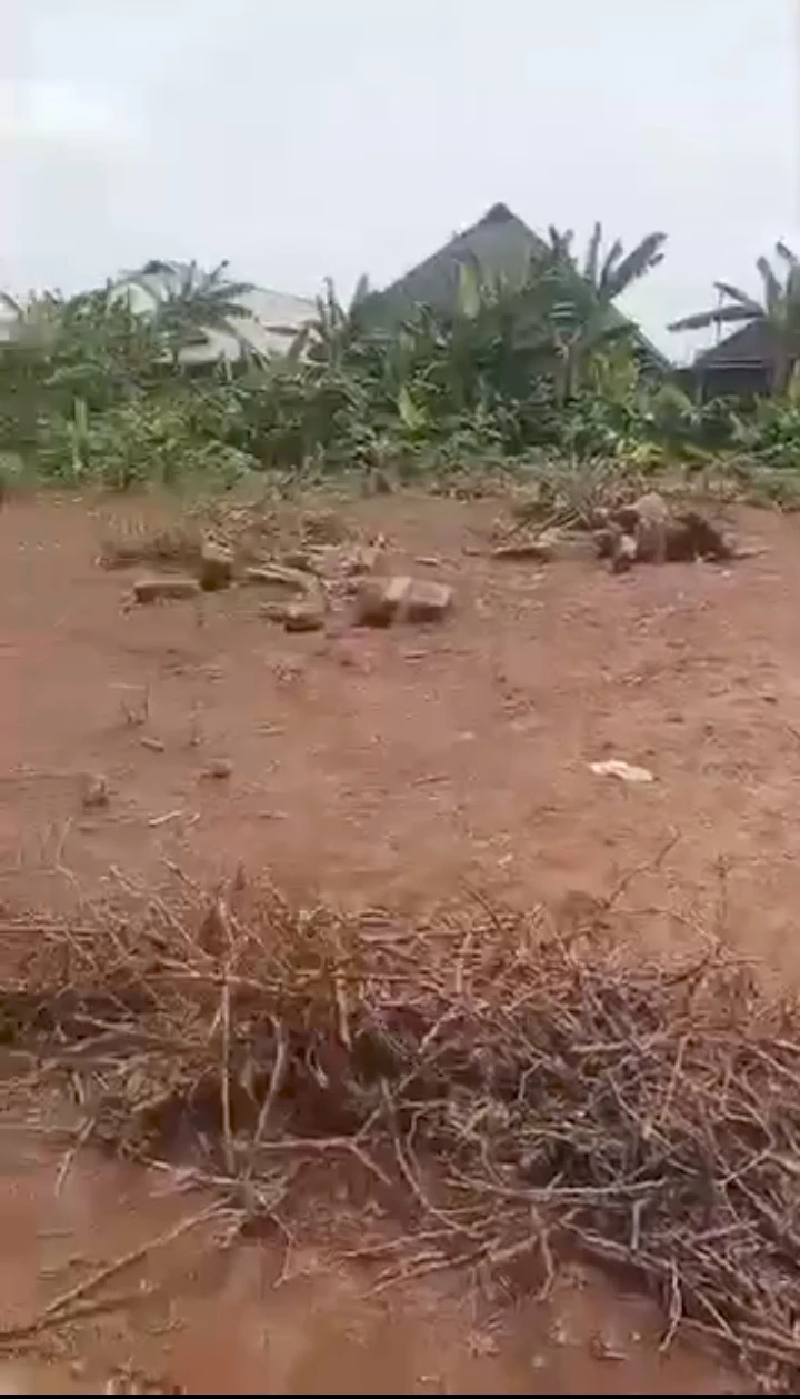 Land for Sale in ewagbogun, Edo - Image 1