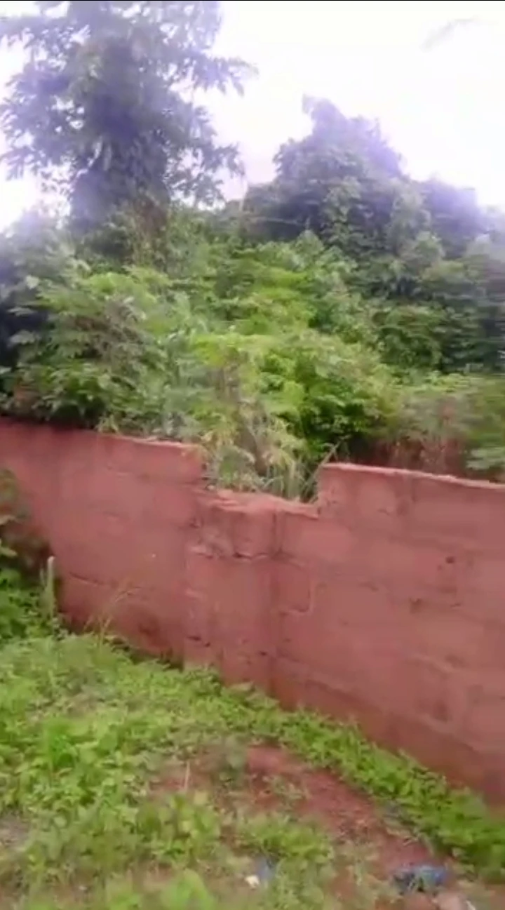 Land for Sale in Okhabere, Edo - Image 1