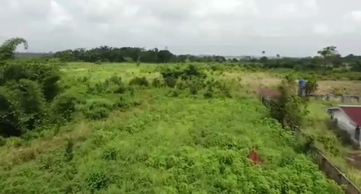 Land for Sale in Ugoneki along Abraka, Edo - Image 1