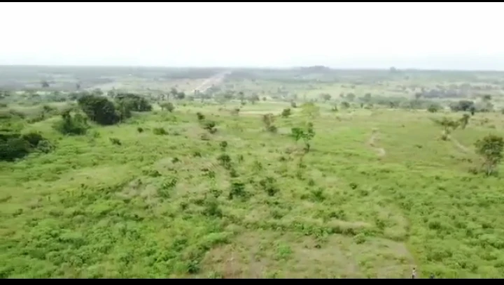 Land for Sale in Ugoneki along Abraka, Edo - Image 3
