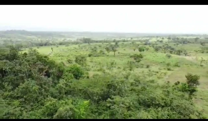 Land for Sale in Ugoneki along Abraka, Edo - Image 2