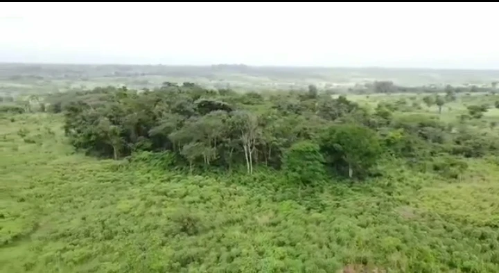 Land for Sale in Ugoneki along Abraka, Edo - Image 4