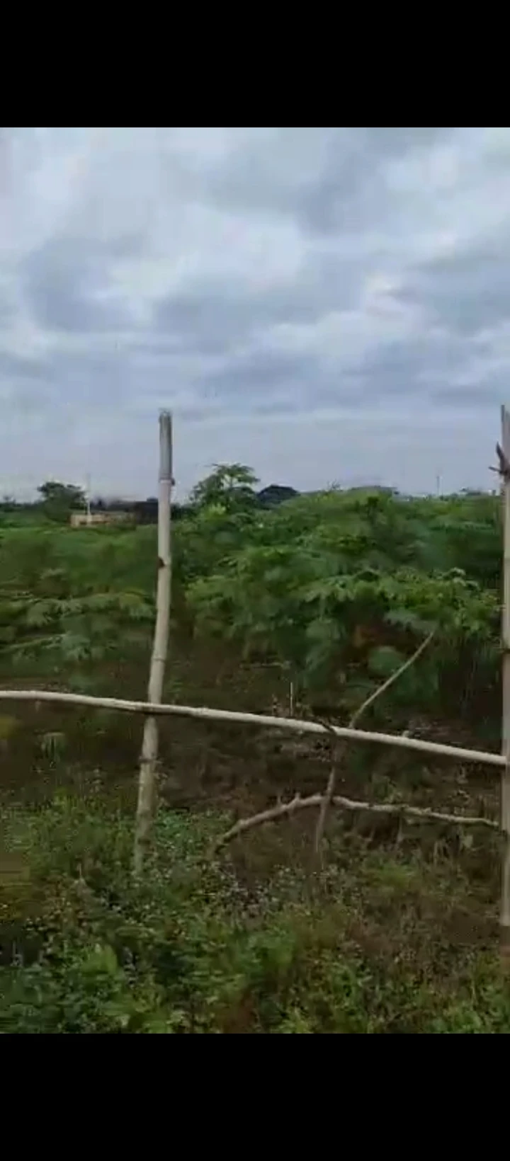 Land for Sale in Amagba GRA, Edo - Image 1