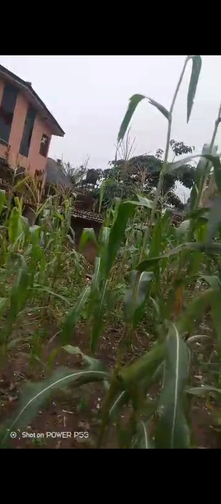 Land for Sale in Aideya GRA, Edo - Image 3