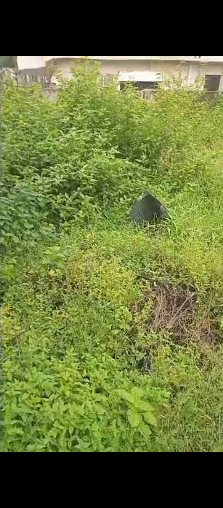 Land for Sale in Akhionbare, Edo - Image 1