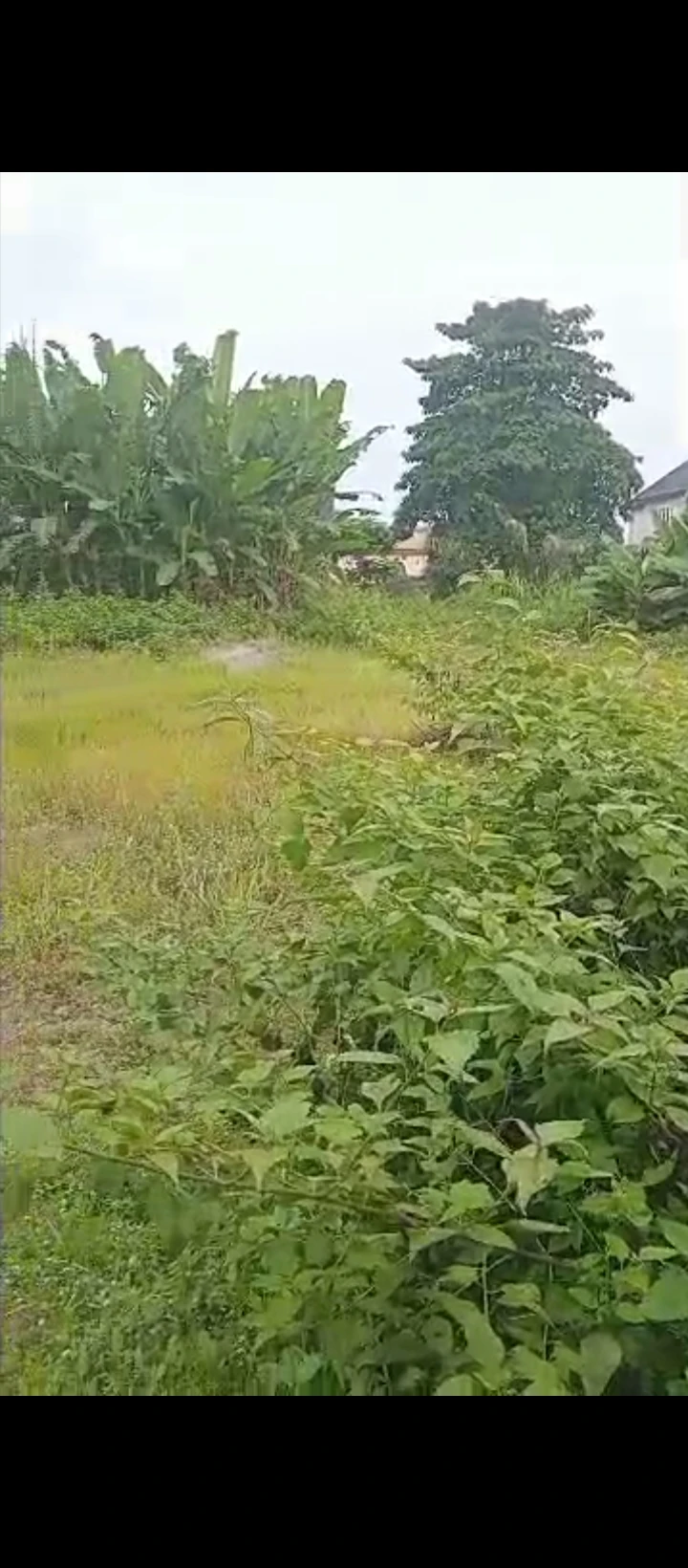 Land for Sale in Akhionbare, Edo - Image 2