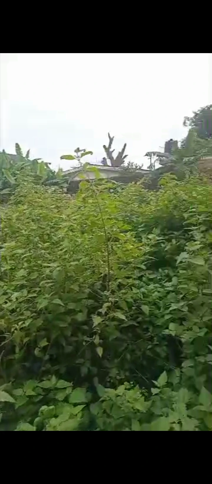 Land for Sale in Akhionbare, Edo - Image 3