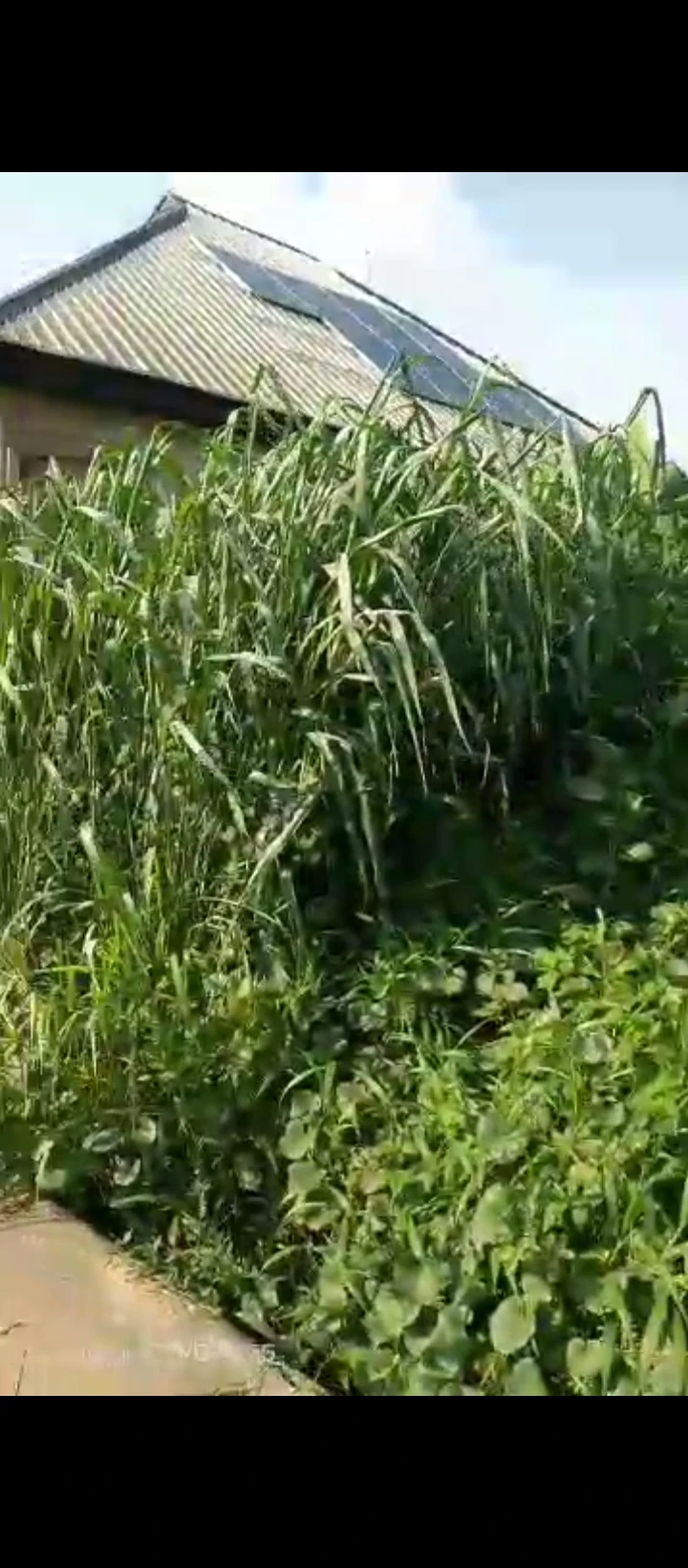 Land for Sale in Eriaria sapele road, Edo - Image 1