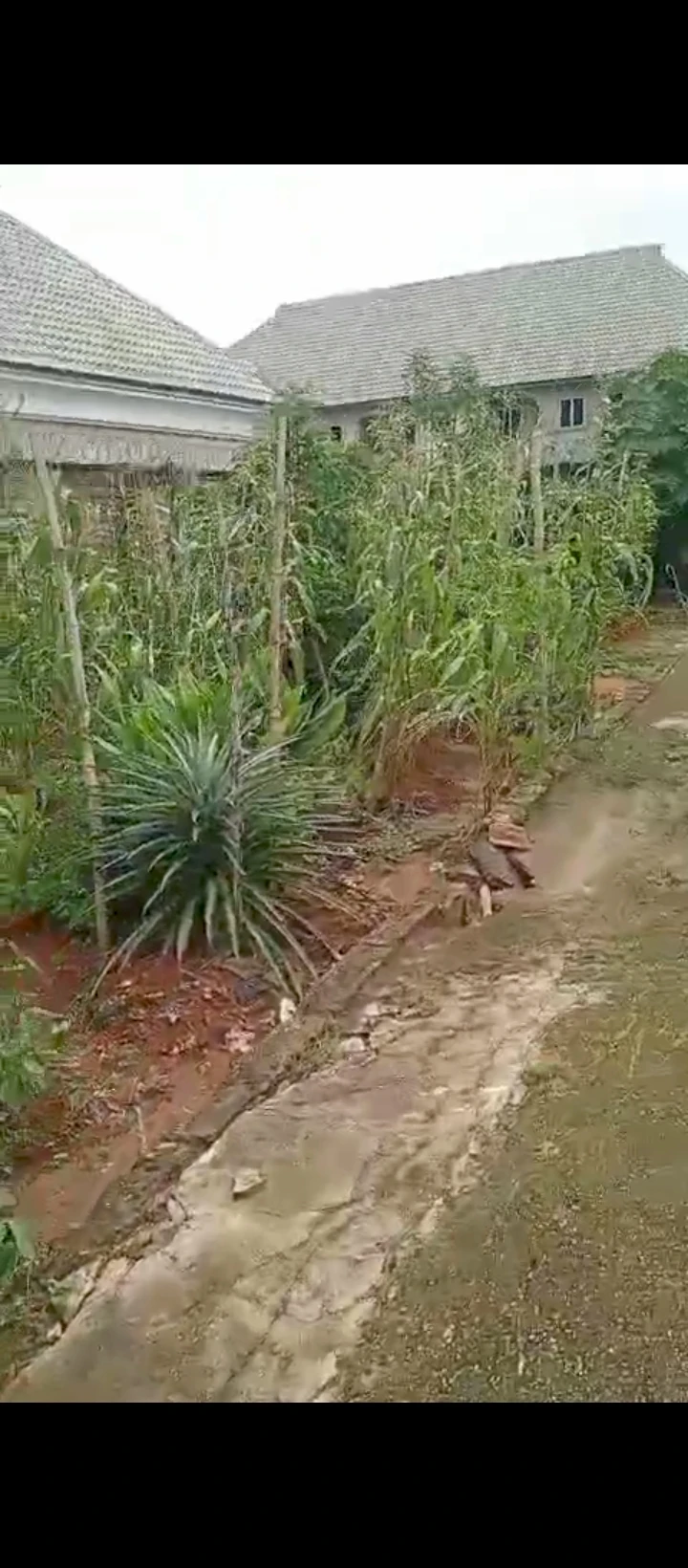 Bungalow for Sale in Country home, Edo - Image 2