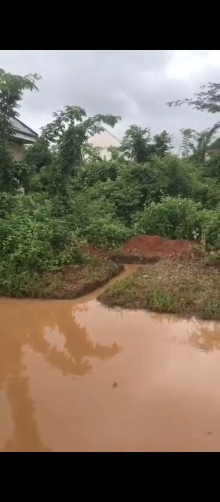 Land for Sale in Ekehuaw road, Edo - Image 2