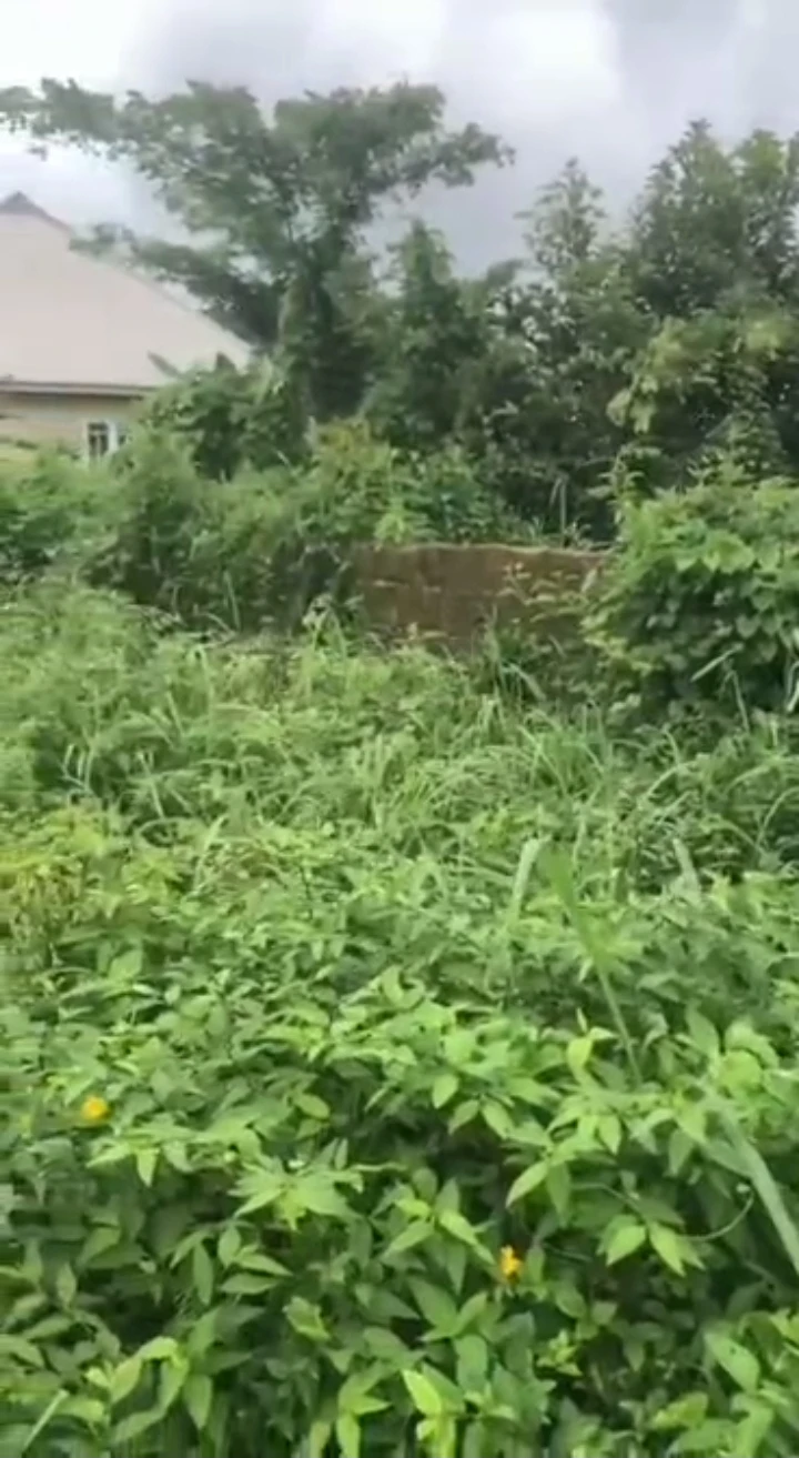 Land for Sale in Ekehuaw road, Edo - Image 1